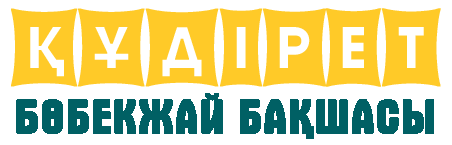 footer-logo